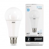 Лампа светодиодная Led Elementary A67 30Вт E27 6500К Gauss 73239